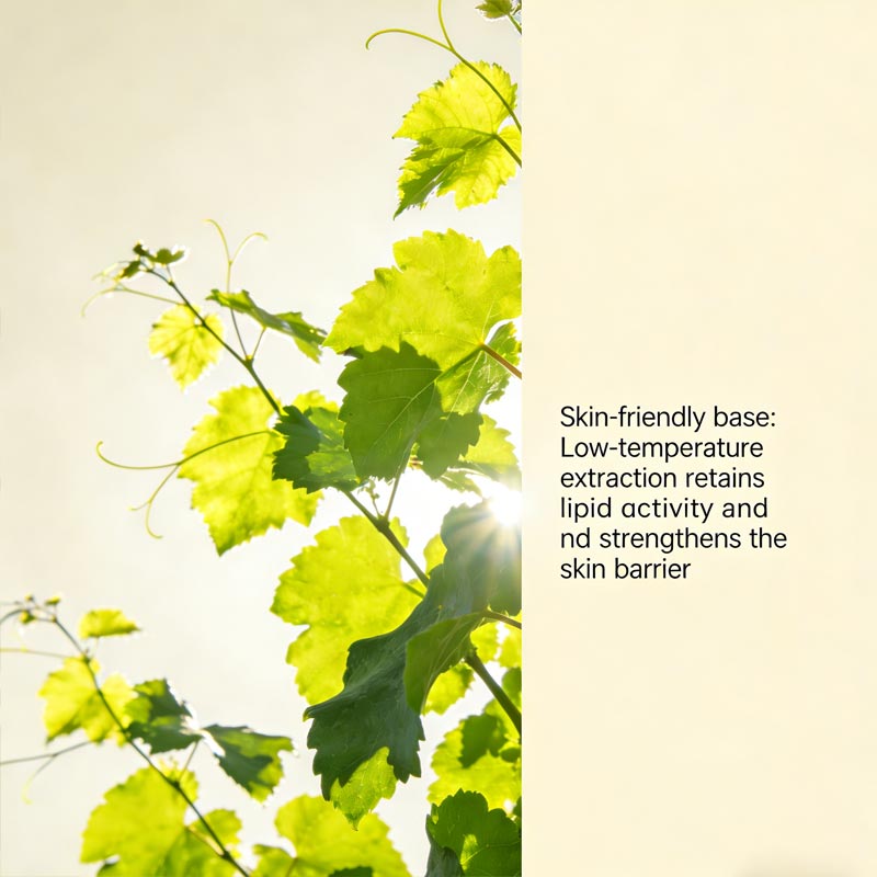 Post-operative care essential oil